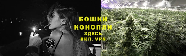 молекула духа Бугульма