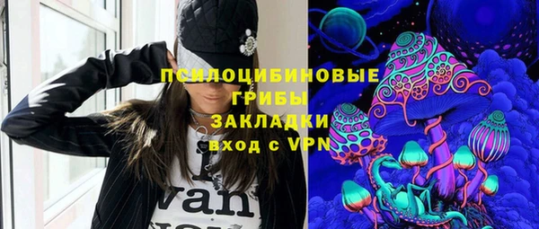 молекула духа Бугульма