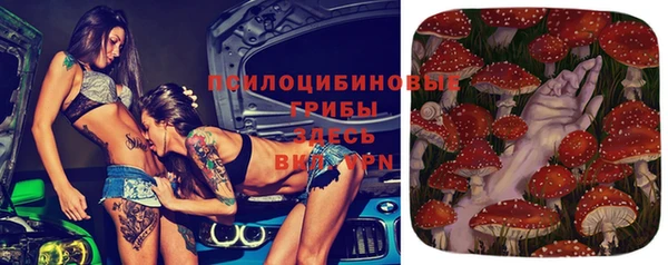 молекула духа Бугульма