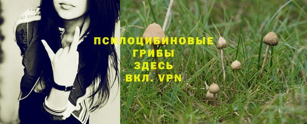 мяу мяу мука Бородино