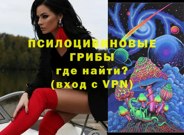 молекула духа Бугульма